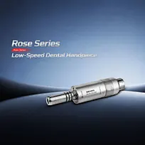 Rose 202-B2